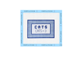 C-A-T-S- Kentucky Needlepoint Canvas