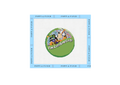 Disney I'm Celebrating Button Needlepoint Canvas