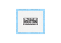 Houston Texas License Plate Needlepoint Canvas