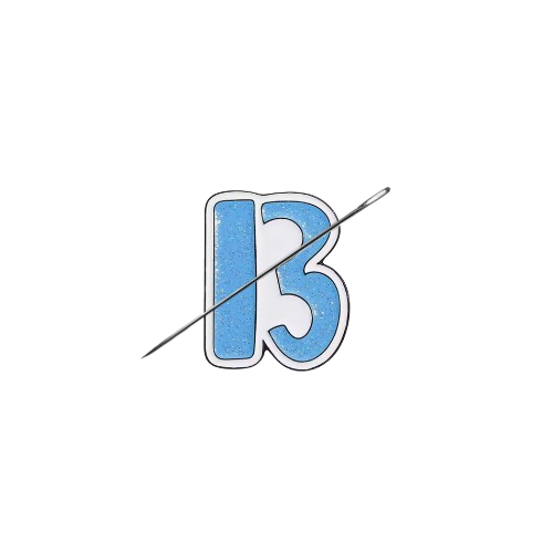 Taylor Swift Lucky 13 Needle Minder – Needlepoint & Cross Stitch